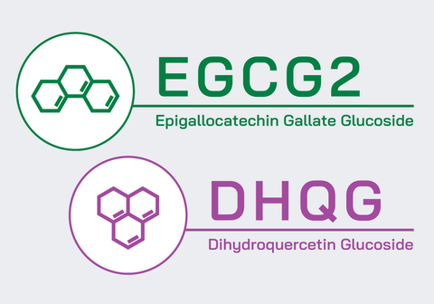 リデンシルの2大KEY成分