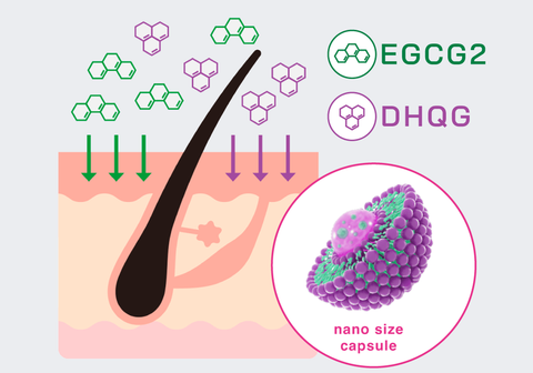 リデンシルなどの成分をターゲットエリア(角層まで)に届ける浸透カプセル